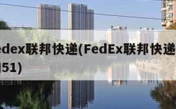 fedex联邦快递(FedEx联邦快递查询51)