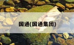 国通(国通集团)