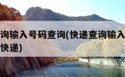快递查询输入号码查询(快递查询输入号码查询中通快递)