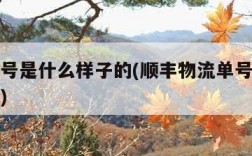 物流单号是什么样子的(顺丰物流单号是什么样子的)