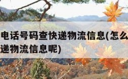怎么用电话号码查快递物流信息(怎么电话号码查快递物流信息呢)