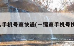 输入手机号查快递(一键查手机号快递)
