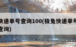 极兔快递单号查询100(极兔快递单号查询号码查询)