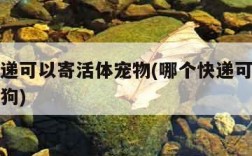 哪个快递可以寄活体宠物(哪个快递可以寄活体宠物狗)