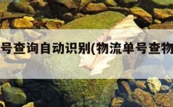 物流单号查询自动识别(物流单号查物流信息)