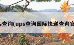 ups查询(ups查询国际快递查询官网)