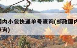 邮政国内小包快递单号查询(邮政国内小包 单号查询)