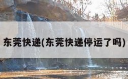 东莞快递(东莞快递停运了吗)