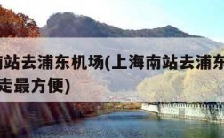 上海南站去浦东机场(上海南站去浦东机场t2怎么走最方便)