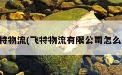 飞特物流(飞特物流有限公司怎么样)