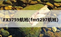 FX9759航班(fm9297航班)