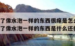 脚底长了像水泡一样的东西很痒是怎么回事(脚底长了像水泡一样的东西是什么还很痒)