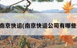 南京快运(南京快运公司有哪些)