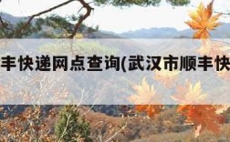 武汉顺丰快递网点查询(武汉市顺丰快递网点)