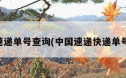 中国速递单号查询(中国速递快递单号查询)