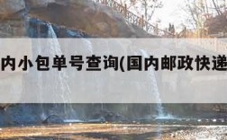 邮政国内小包单号查询(国内邮政快递单号查询)