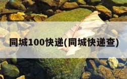 同城100快递(同城快递查)
