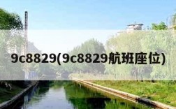 9c8829(9c8829航班座位)