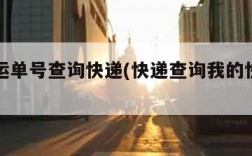 ems运单号查询快递(快递查询我的快递单号)