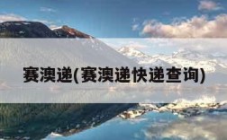 赛澳递(赛澳递快递查询)
