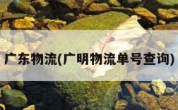 广东物流(广明物流单号查询)