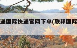 联邦快递国际快递官网下单(联邦国际快递网址)