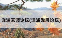 洋浦天涯论坛(洋浦发展论坛)
