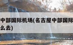 名古屋中部国际机场(名古屋中部国际机场到岐阜怎么去)