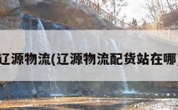 辽源物流(辽源物流配货站在哪)