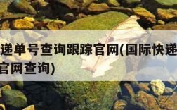 国际快递单号查询跟踪官网(国际快递单号查询100官网查询)