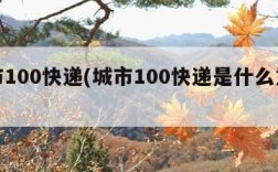 城市100快递(城市100快递是什么意思)