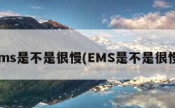 ems是不是很慢(EMS是不是很慢)