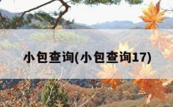 小包查询(小包查询17)