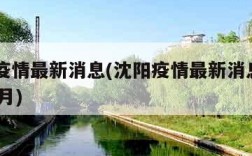 沈阳疫情最新消息(沈阳疫情最新消息2024年8月)