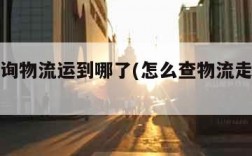怎么查询物流运到哪了(怎么查物流走到哪儿了)