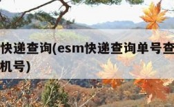 esm快递查询(esm快递查询单号查询追踪手机号)