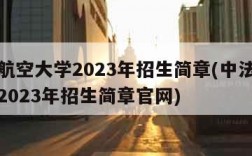 中法航空大学2023年招生简章(中法航空大学2023年招生简章官网)