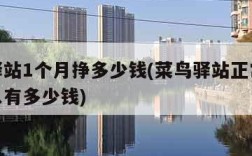 菜鸟驿站1个月挣多少钱(菜鸟驿站正常一个月收入有多少钱)