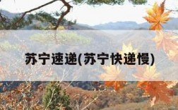 苏宁速递(苏宁快递慢)