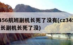 3456航班副机长死了没有(cz3456机长副机长死了没)
