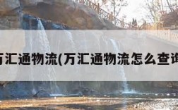 万汇通物流(万汇通物流怎么查询)