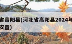 河北省高阳县(河北省高阳县2024年转业士官安置)