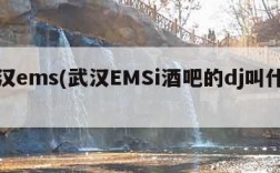 武汉ems(武汉EMSi酒吧的dj叫什么)