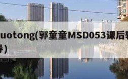 guotong(郭童童MSD053课后辅导)
