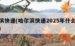 哈尔滨快递(哈尔滨快递2025年什么时候停运)