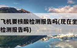 现在坐飞机要核酸检测报告吗(现在坐飞机需要核酸检测报告吗)