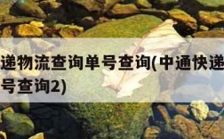 中通快递物流查询单号查询(中通快递单查询物流单号查询2)