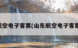 山东航空电子客票(山东航空电子客票查询)