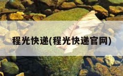 程光快递(程光快递官网)