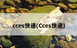 cces快递(Cces快递)